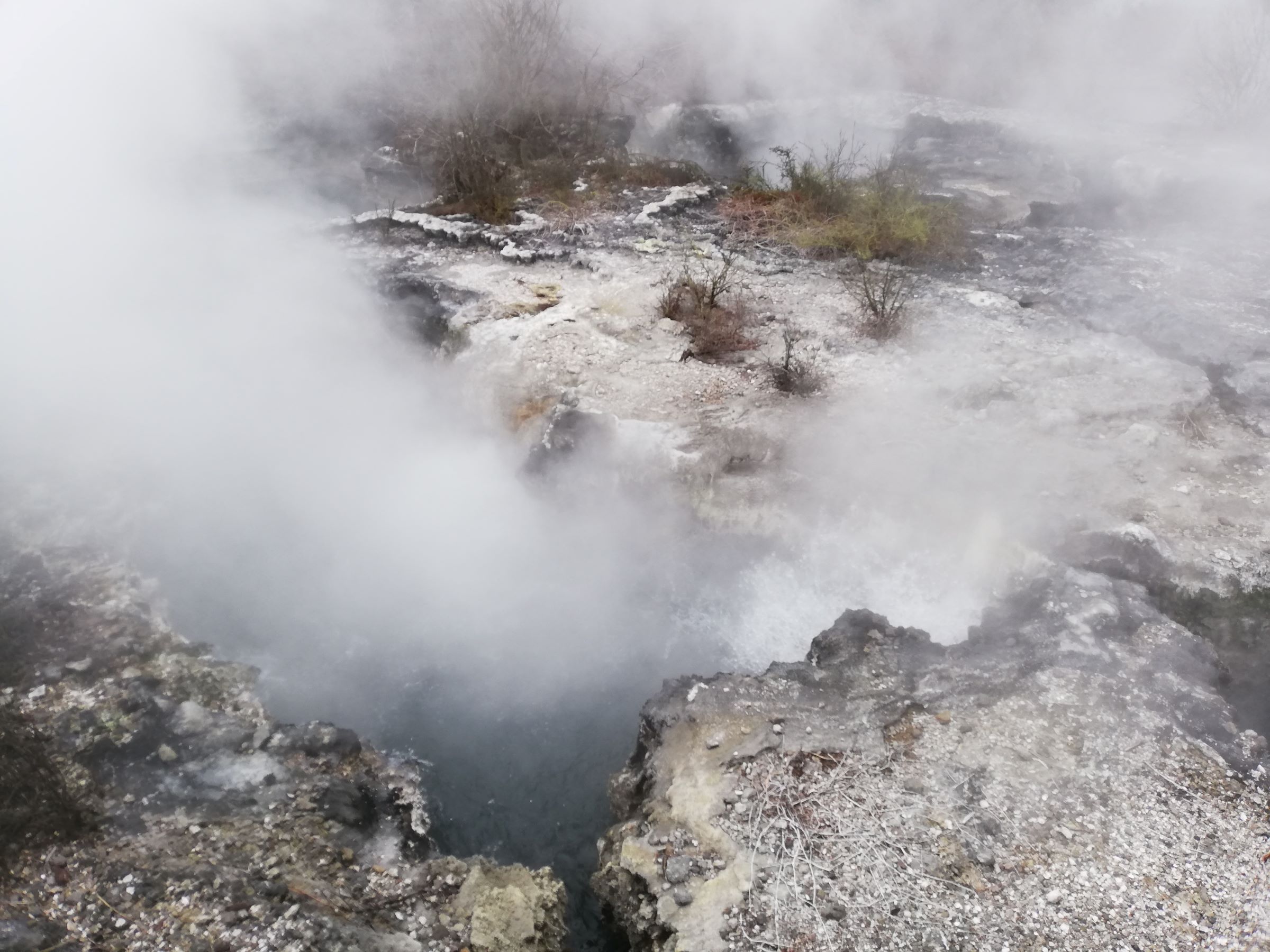 Days 62-65 Rotorua