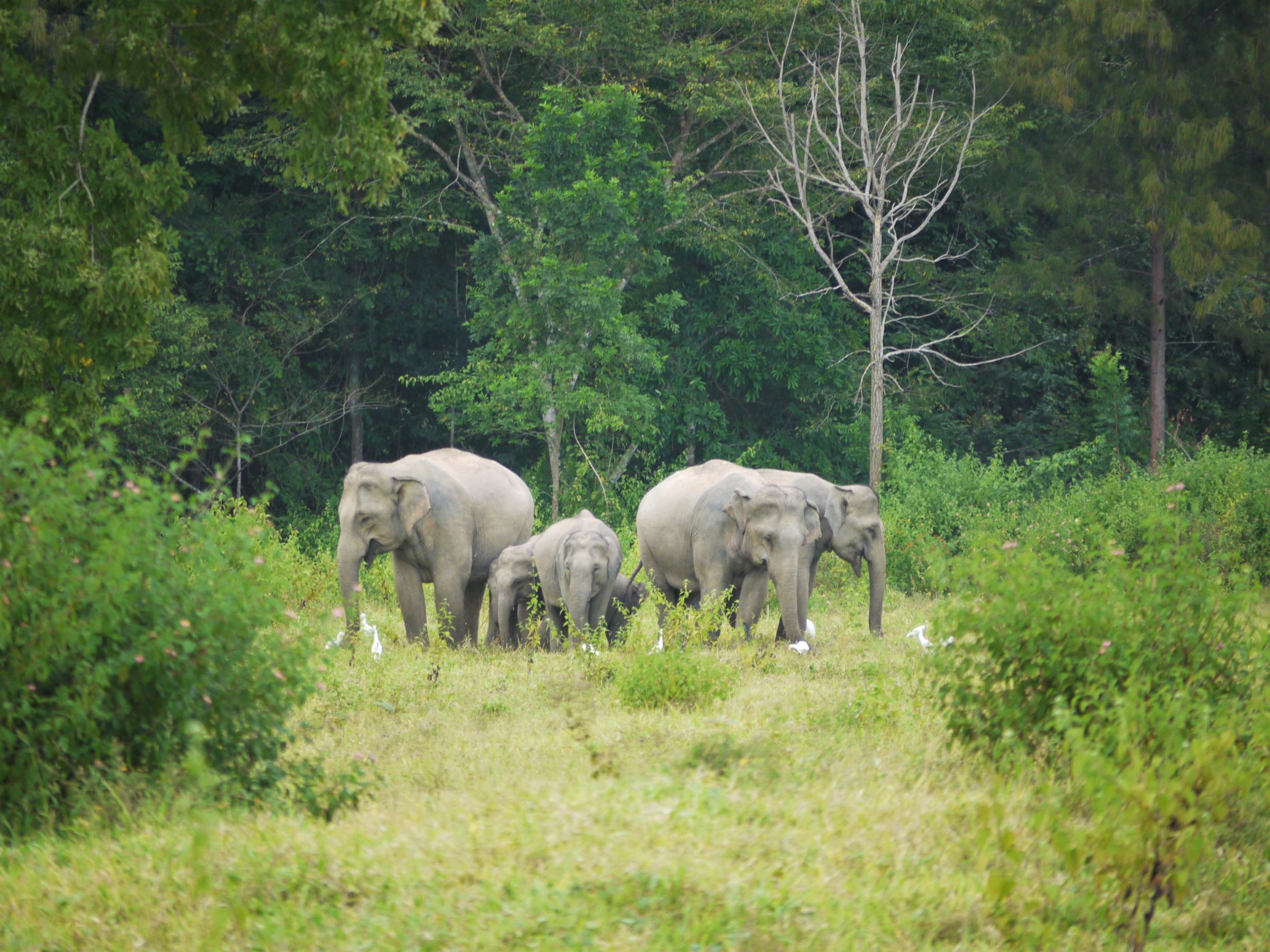 Days 92-96 Arriving in Bangkok and Sam Roi Yot National Park