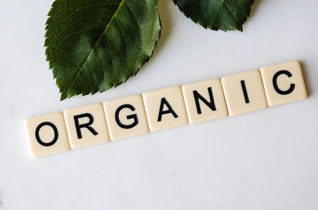 organic scrabble letters