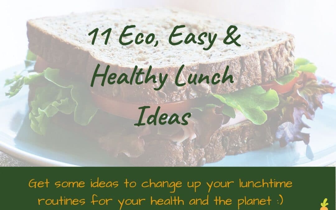 11 Eco, Easy & Healthy Lunch Ideas