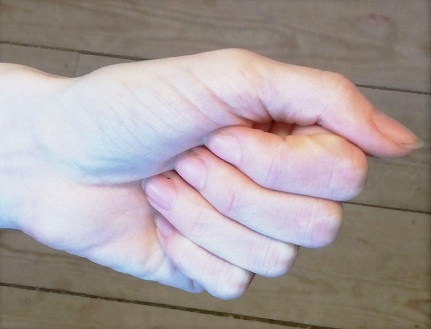 A fist to use to measure portions