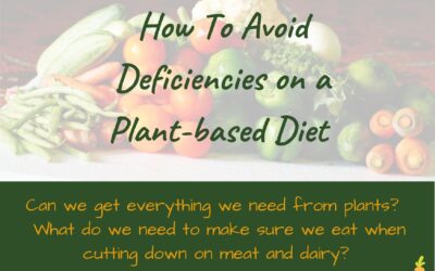 How to avoid deficiencies on a plant-based diet