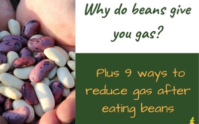 Why do beans give you gas, and 9 ways to stop gas after eating beans