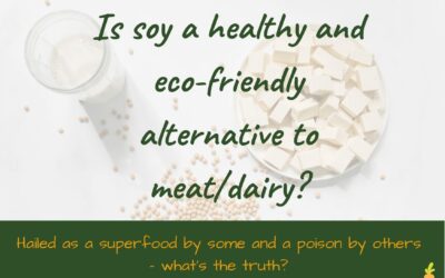 Is soy a healthy and eco-friendly meat/dairy replacement?