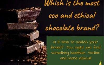 Which is the most eco and ethical chocolate brand?