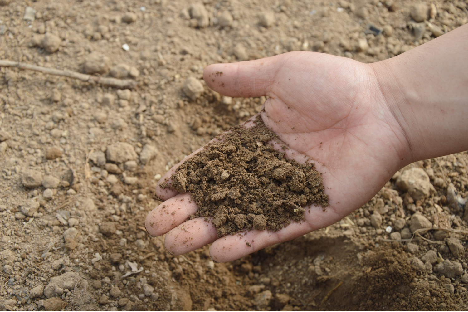 dry soils - poor quality with hand