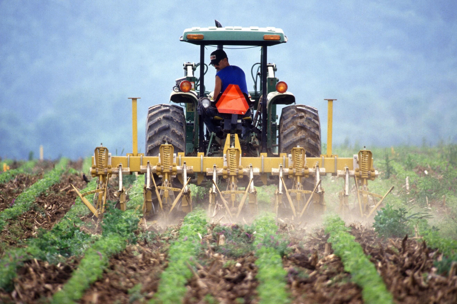 spraying a potato field